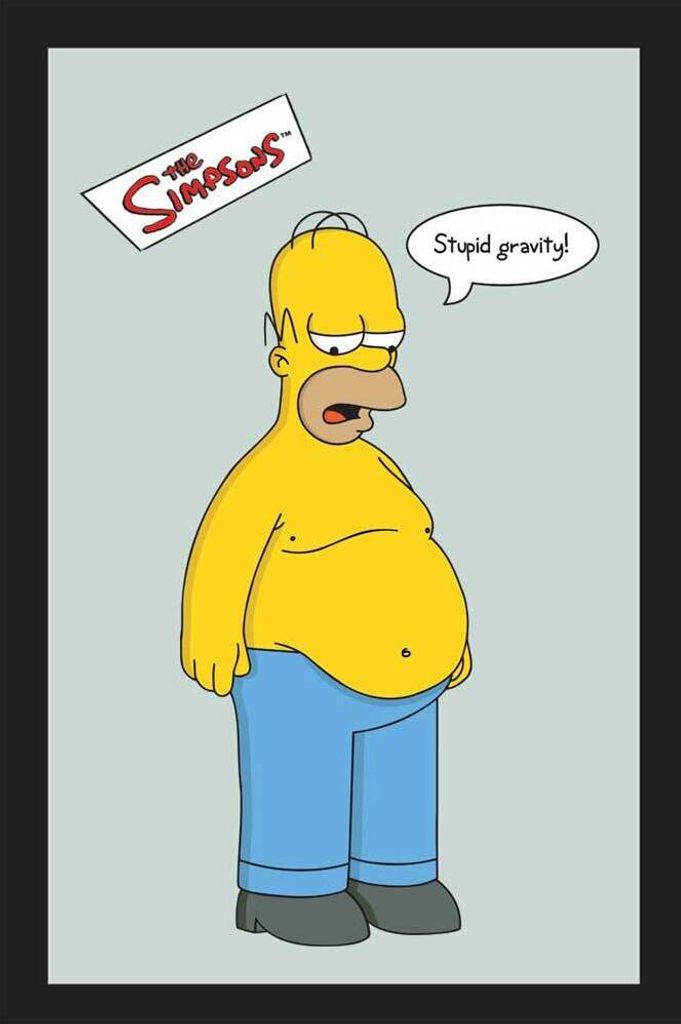 KS35 Simpsons, The - Stupid Gravity - Bedruckter Spiegel