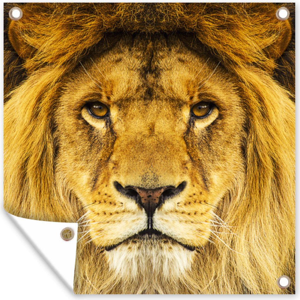 MuchoWow 50x50 cm Outdoor-Poster Gartendeko Sichtschutz Garten Poster für den Garten Löwe - Porträt - Braun