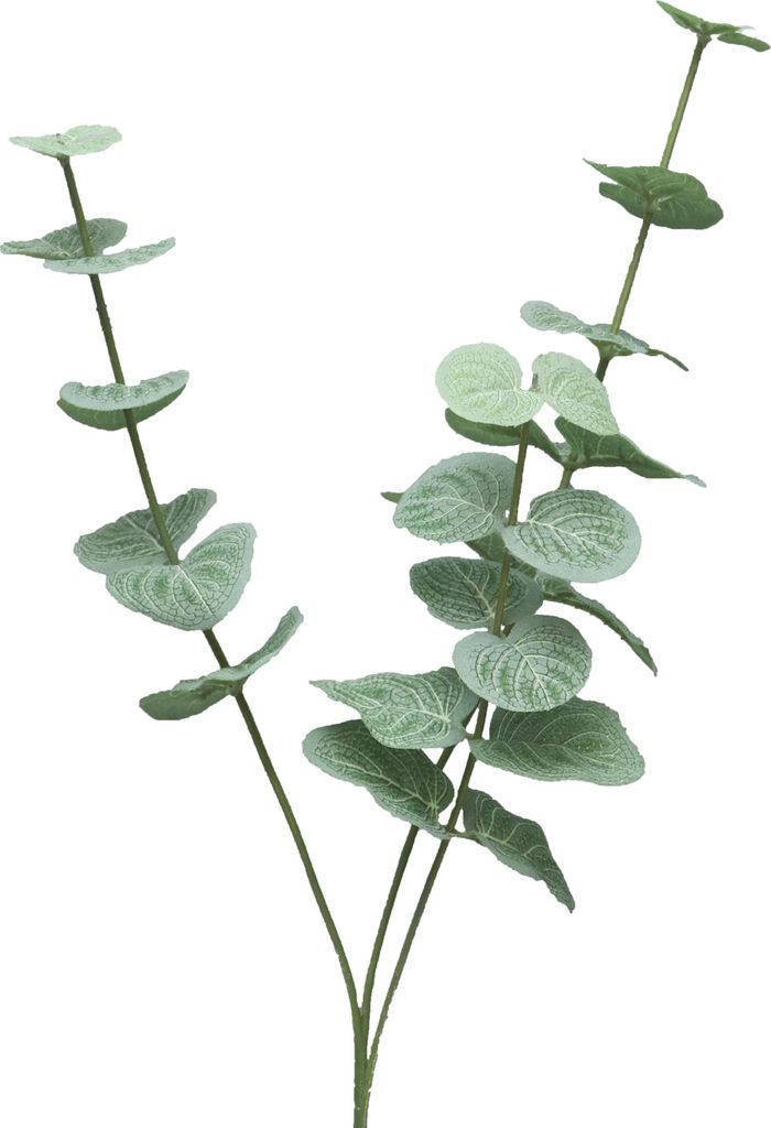 Bellatio Design Kunstblume - Eukalyptus Cinera 38 cm