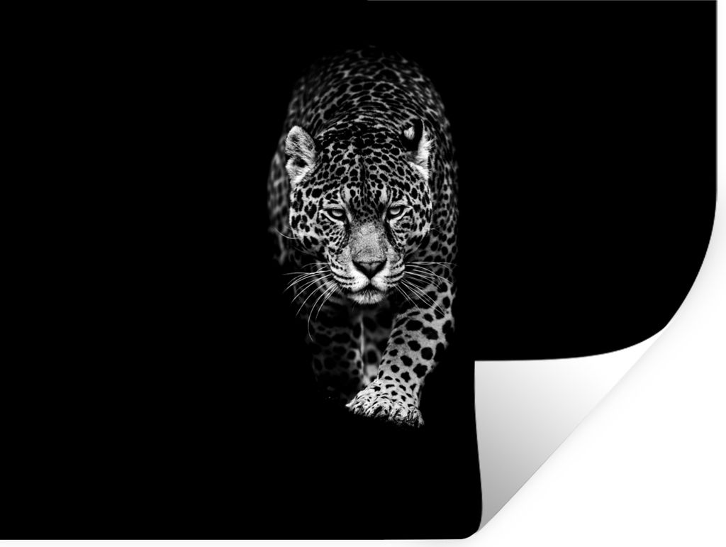 MuchoWow Wandtattoo Wandsticker Wandaufkleber Tiere - Schwarz - Leopard - Weiß - Wild 120x90 cm Selbstklebend und Repositionierbar - Aufkleber
