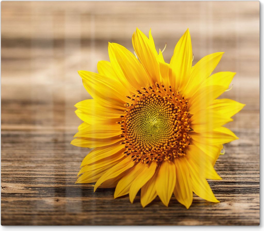 DEQORI Herdabdeckplatte Glas 1-tlg 'Sonnenblume auf Holz' Herd Abdeckung Küche