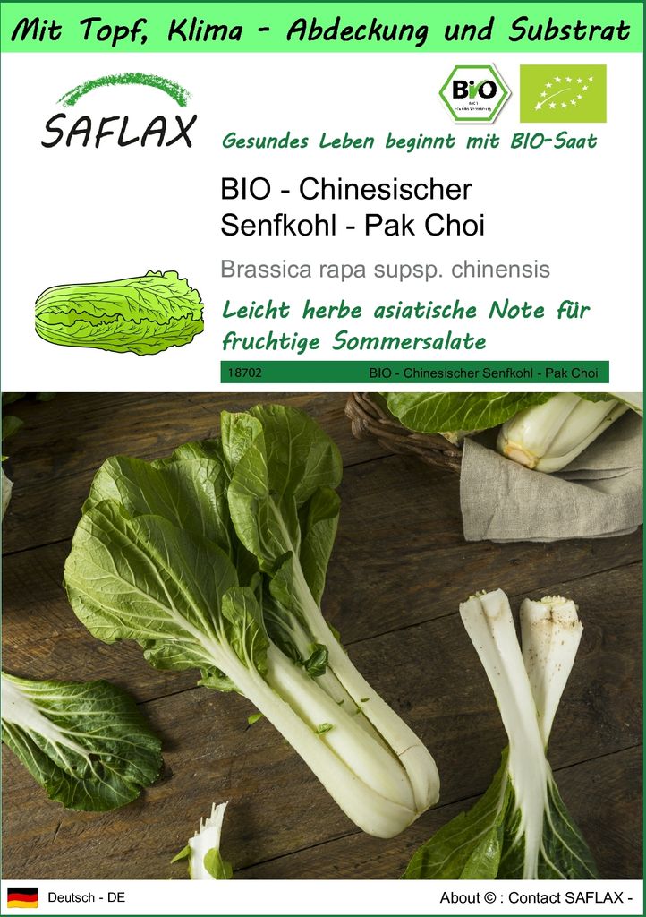 SAFLAX Garden to go - BIO - Chinesischer Senfkohl - Pak Choi - Brassica rapa supsp. chinensis - 300 Samen - Mit Topf, Klima - Deckel und Anzuchtsub...