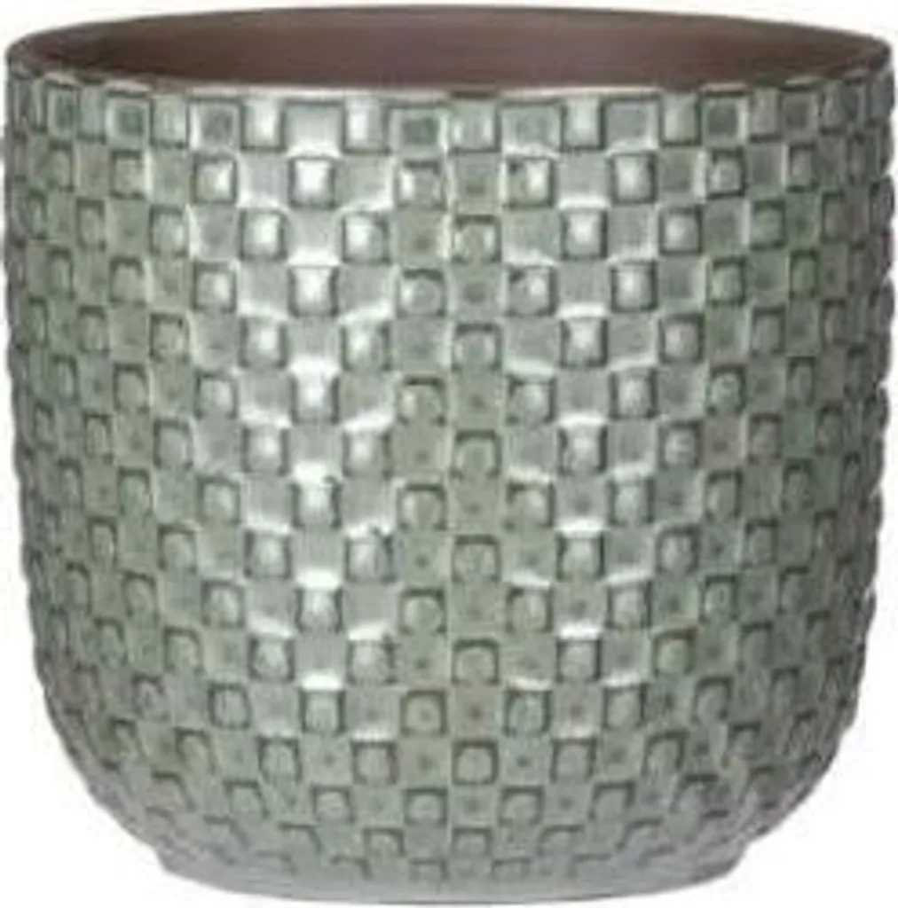 Petit pot vert structuré Ø7cm pour sublimer vos semis et petites plantes