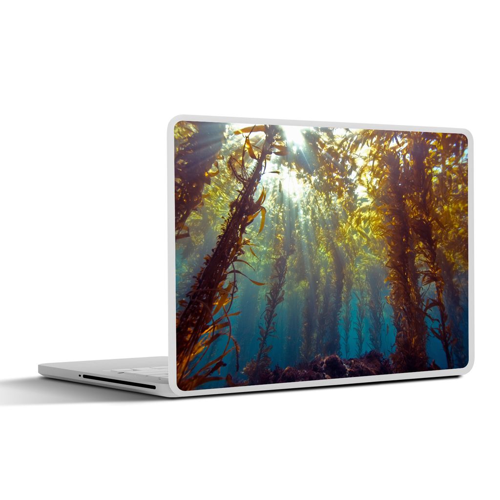 MuchoWow Laptop Aufkleber Sticker Cover Sonnenlicht und Pflanzen unter Wasser 31x22.5 cm - Laptop-Deko