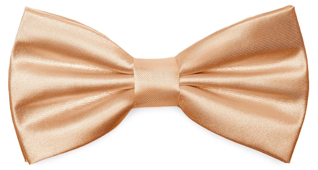 Ladeheid Elegante Herren Fliege -Hochwertig Glänzend Produktbild 