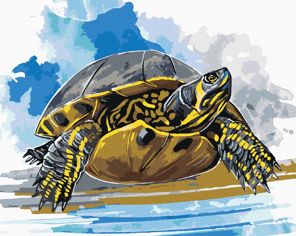 Zuty - Malen nach Zahlen - WASSERSCHILDKRÖTE, 40x50 cm, mit Keilrahmen (bereits gespannt)