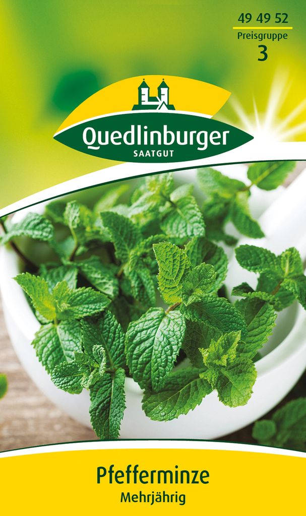 Quedlinburger Saatgut - Pfefferminze - Samen - 494952 Produktbild 