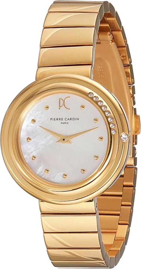 Orologio Pierre Cardin Passy Meteore CF.1010.MG.2 da donna