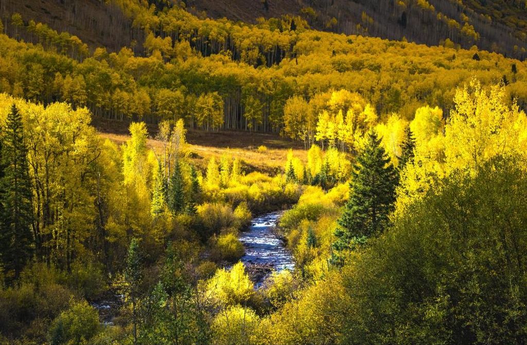 hansepuzzle 31381 - Colorado Puzzle, 500 Teile, Natur, 46,0 x 30,0cm mit hochwertiger Aufbewahrung, Kartonbox und wiederverschließbarem Beutel