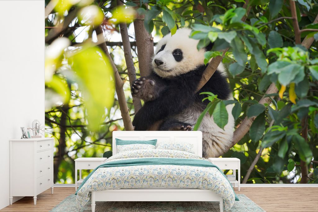 MuchoWow Fototapete für Wohnzimmer oder Schlafzimmer Wandtapete Vinyl Motivtapete Panda - Tier - Baum - 360x240 cm - Vinyl-Tapete