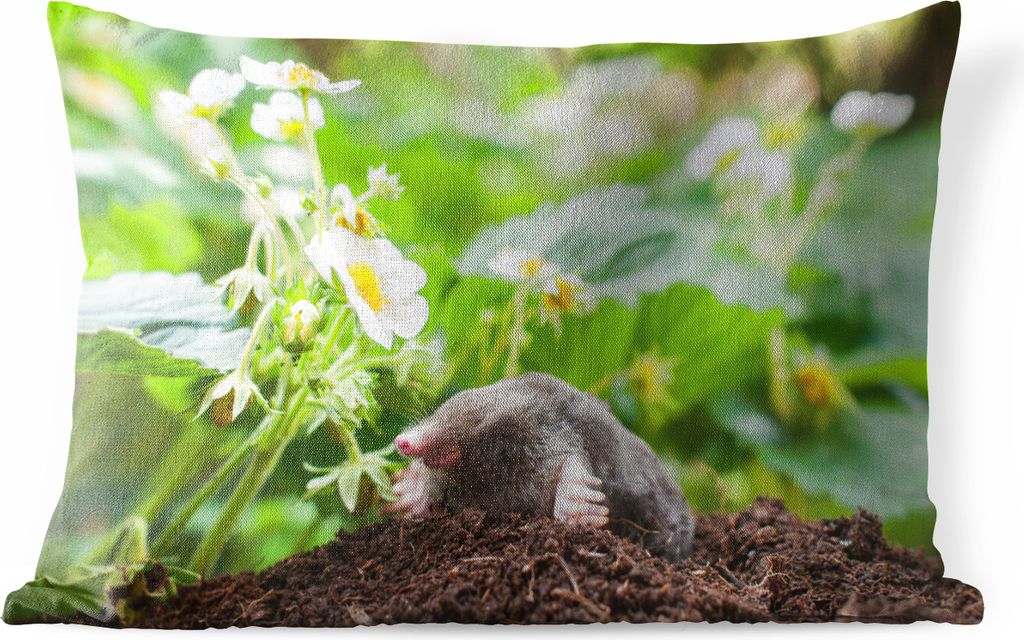 MuchoWow® Outdoor Kissen - Tier - Garten - Maulwurf - 50x30 Produktbild 