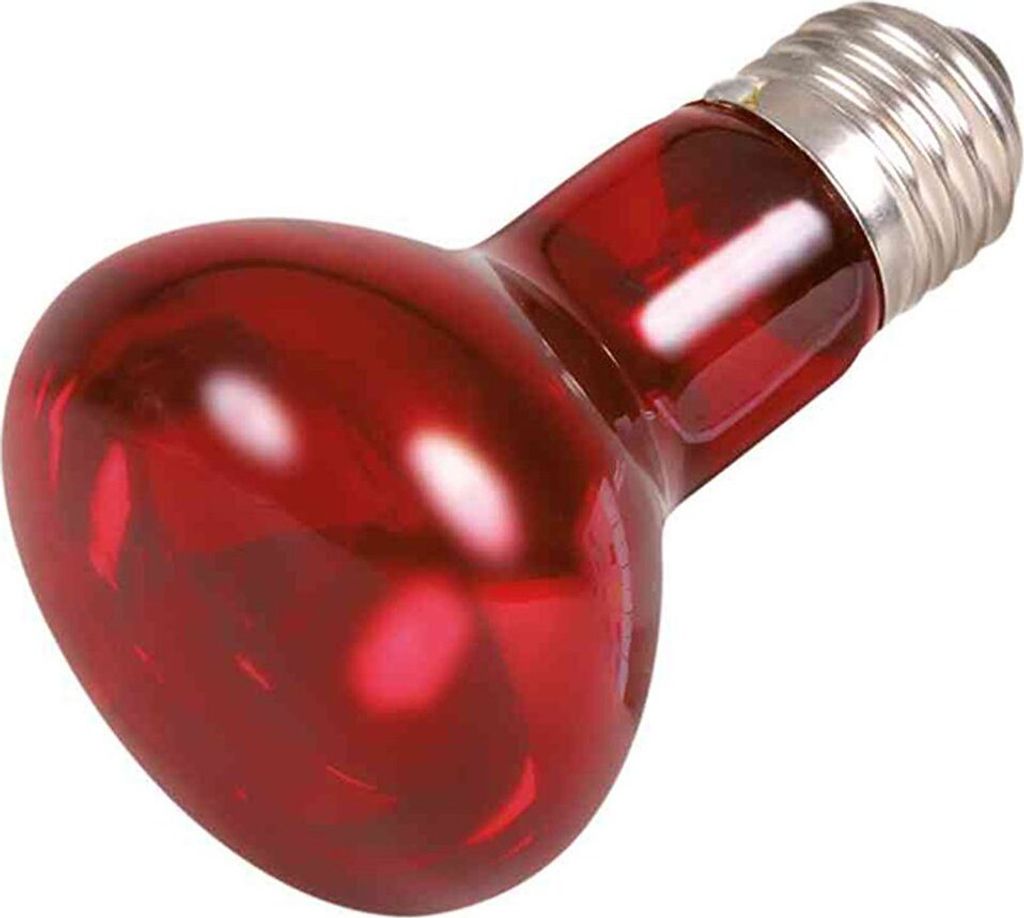 Lampe à chaleur infrarouge ø 63 × 100 mm Image du produit 