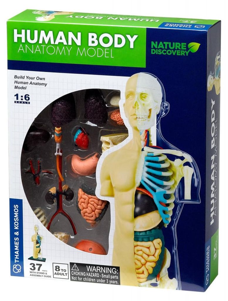 Kit STEM Anatomie du corps humain, Thames & Kosmos Image du produit 