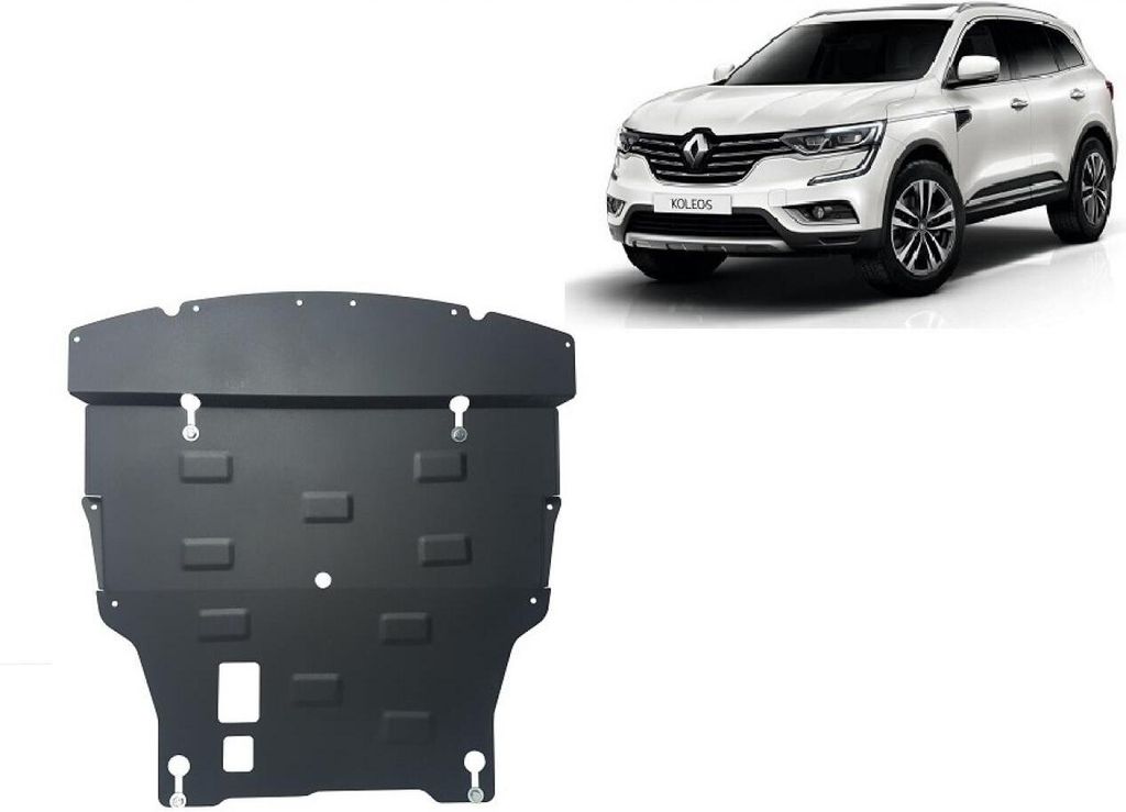 Protezione antincastro in acciaio per il motore di Renault Immagine del prodotto 