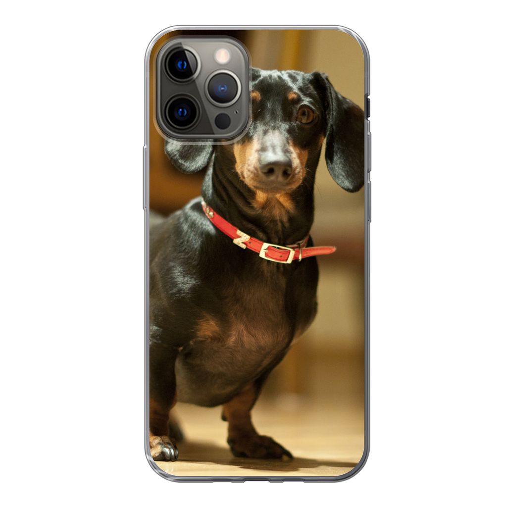 MuchoWow Handyhülle Schutzhülle Hülle für iPhone 12 Pro Porträt eines schwarzen Dackels Silikon Softcase Handy Hülle - Abdeckung