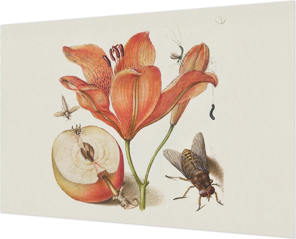 Wandtapete - Dekorative Tapete für Wohnzimmer - Tapetenfolie für Wanddekoration - 152x104 cm - Botanische Illustration