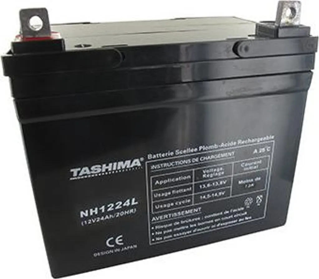 Batterie 12V 24Ah pour Tracteur Tondeuse : Idéal pour l'Entretien du Jardin