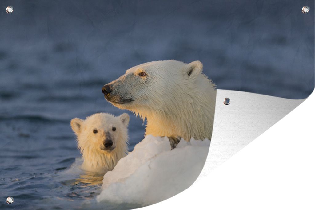 MuchoWow 120x80 cm Outdoor-Poster Gartendeko Sichtschutz Garten Poster für den Garten Eisbär mit Jungtier
