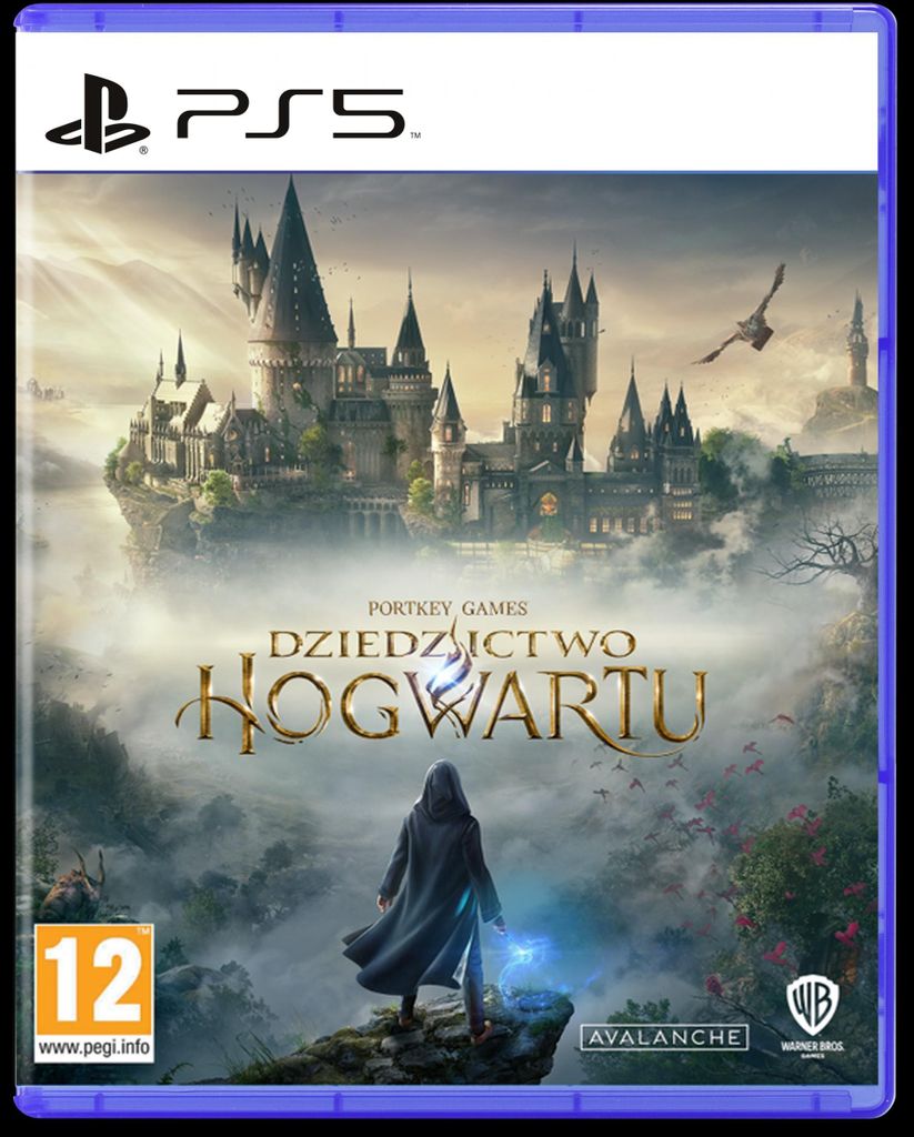 Hogwarts Legacy Ps5