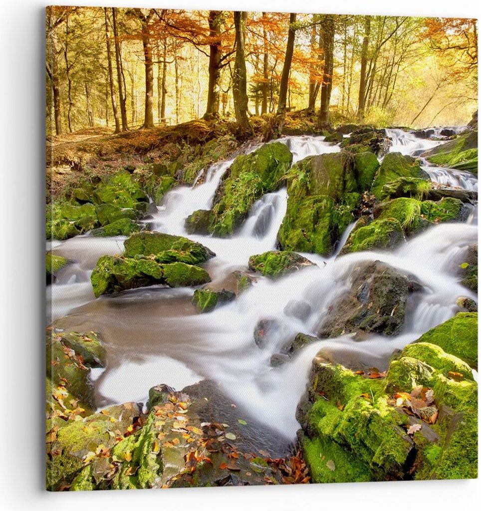 Bild auf Leinwand - Leinwandbild - Sonne Berg Bach Park - 70x70cm - Wand Bild - Wanddeko - Leinwanddruck - Bilder - Kunstdruck - Wanddekoration - L...