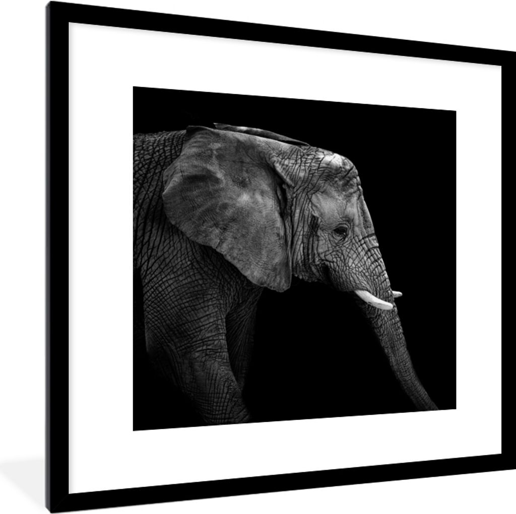 MuchoWow Gerahmtes Poster Elefant - Schwarz und weiß - Porträt - Tiere 40x40 cm - Poster mit Schwarzem Bilderrahmen Wandposter Rahmen Foto Bild...
