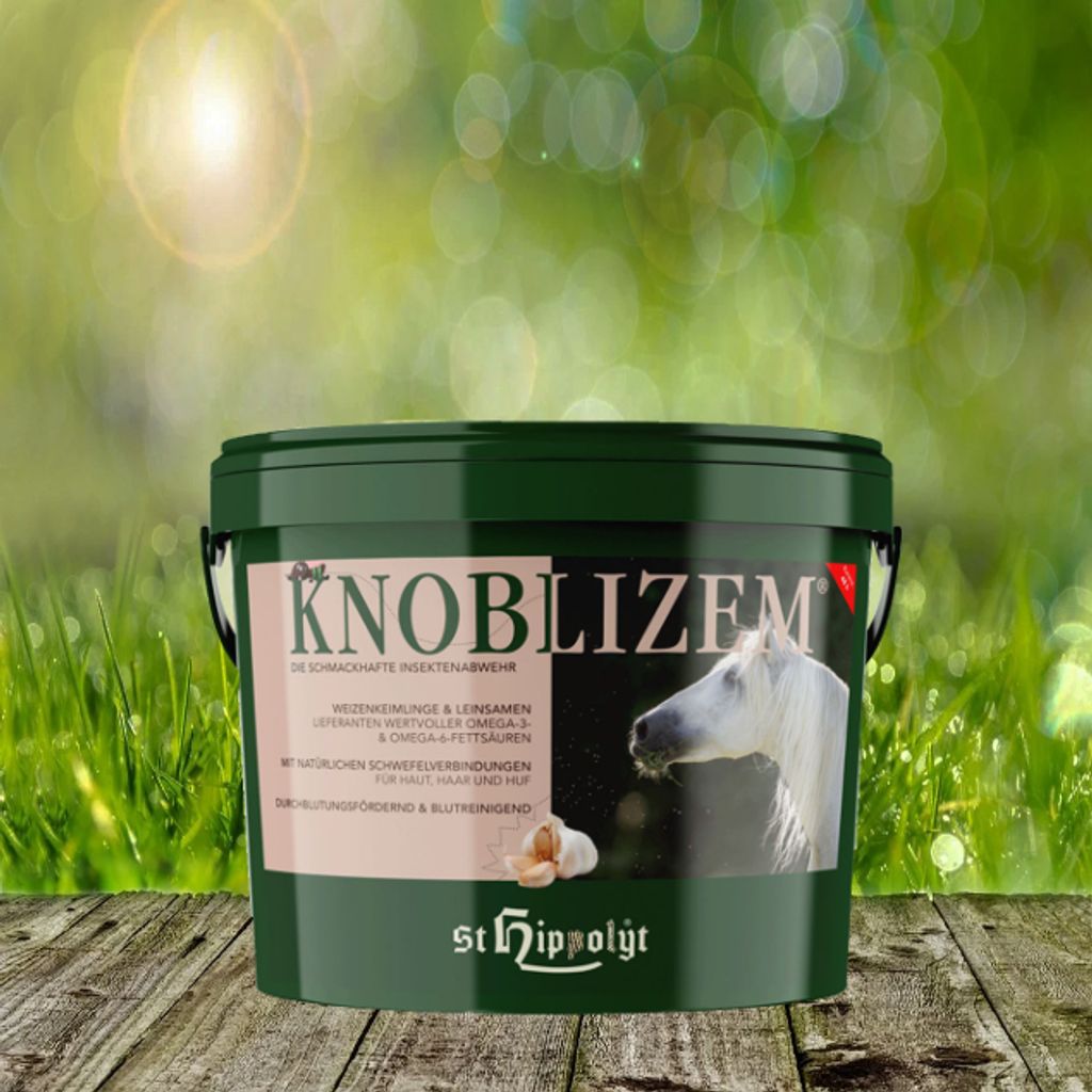 St. Hippolyt Knoblizem 3 kg - die schmackhafte Produktbild 