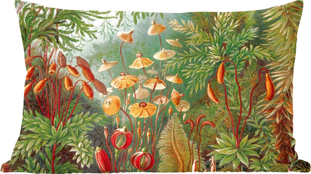 MuchoWow Zierkissen Sofakissen Wohnzimmer Dekokissen 60x40 cm Gestaltung - Natur - Pilze - Ernst Haeckel - Kopfkissen - Polster mit Foto