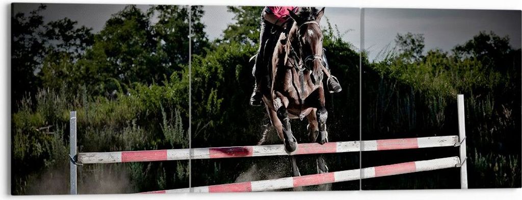 Bild auf Leinwand - Leinwandbild - Pferd Sport Hindernisse Himmel - 150x50cm - Wand Bild - Wanddeko - Leinwanddruck - Bilder - Kunstdruck - Wanddek...