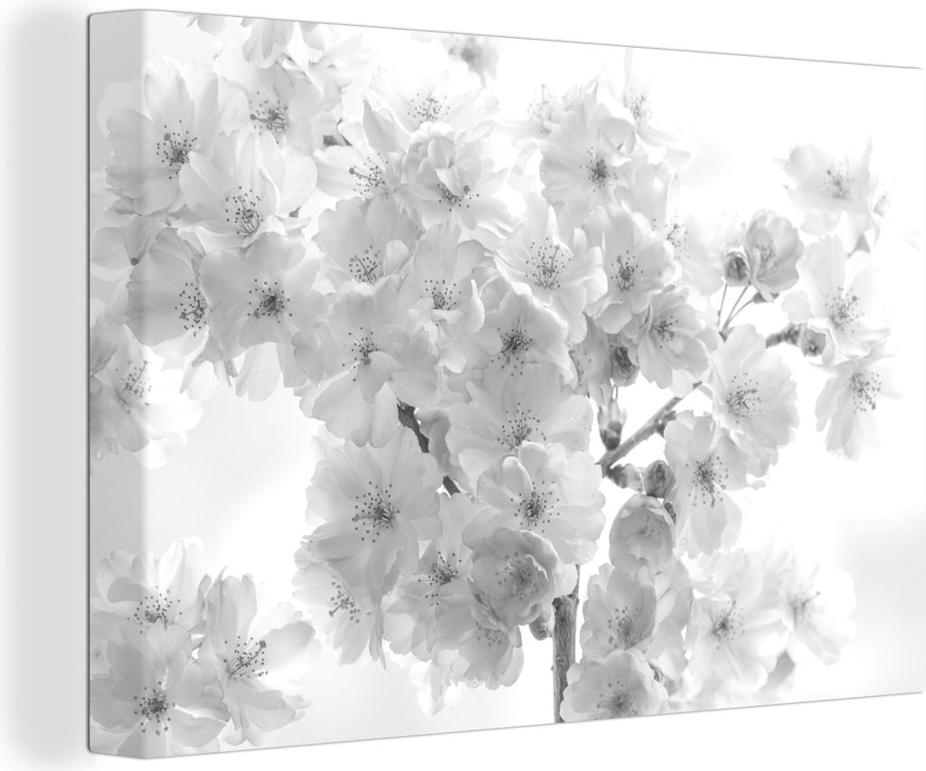 OneMillionCanvasses - Leinwandbilder - 140x90 cm, Nahaufnahme der Blüte eines Kirschbaums - schwarz und weiß, Wandbilder Kunstdruck Wanddekoration