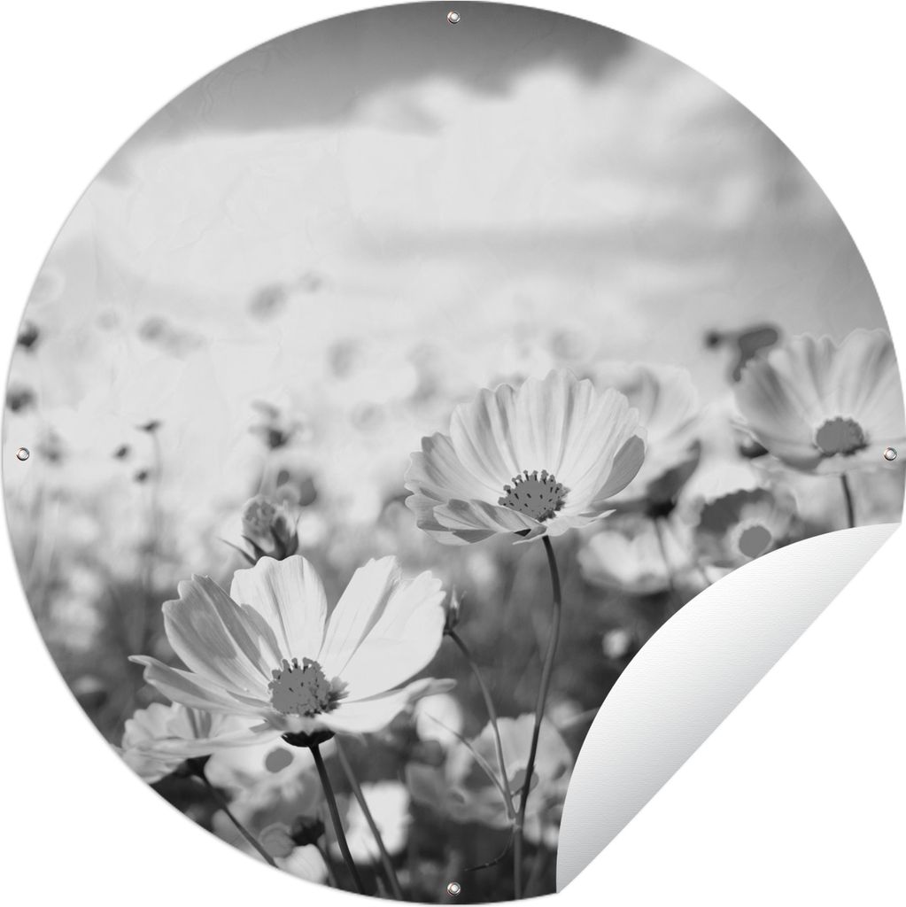 MuchoWow Gartenposter Outdoor-Poster Rund Blumen - Wiese - Lila - Gras - Weiß - Wolken - Blau Ø 90 cm Gartendeko Rundes Poster draußen
