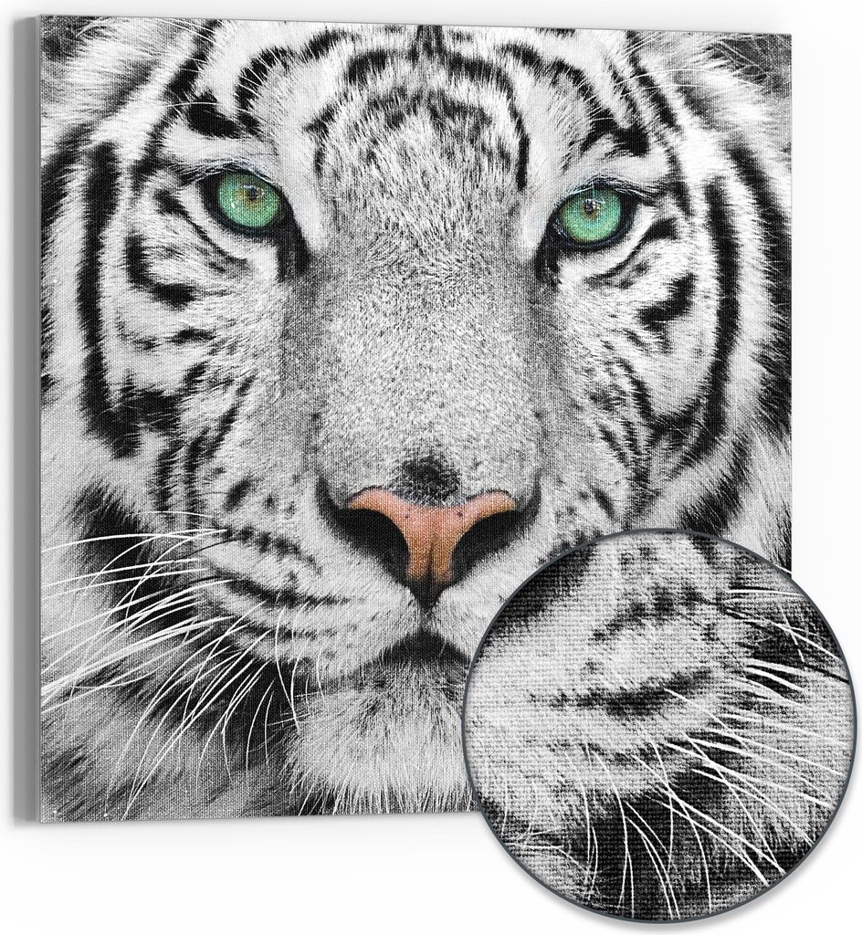 DEQORI Hybrid Leinwand Bild 50x50 cm 'Blick des Tigers' Wandbild Glas flach modern