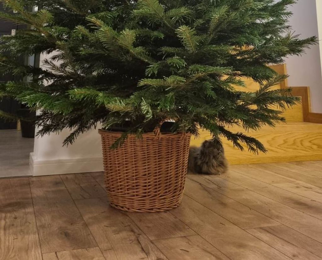 Runder Spielzeugkorb mit natürlichen Ohren. Weihnachtsbaum-Überwurfkorb.