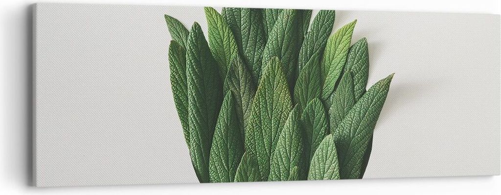 Bild auf Leinwand - Leinwandbild - Einteilig - Salbei Medizin Blätter - 90x30cm - Wand Bild - Wanddeko - Wandbilder - Leinwanddruck - Bilder - Wan...