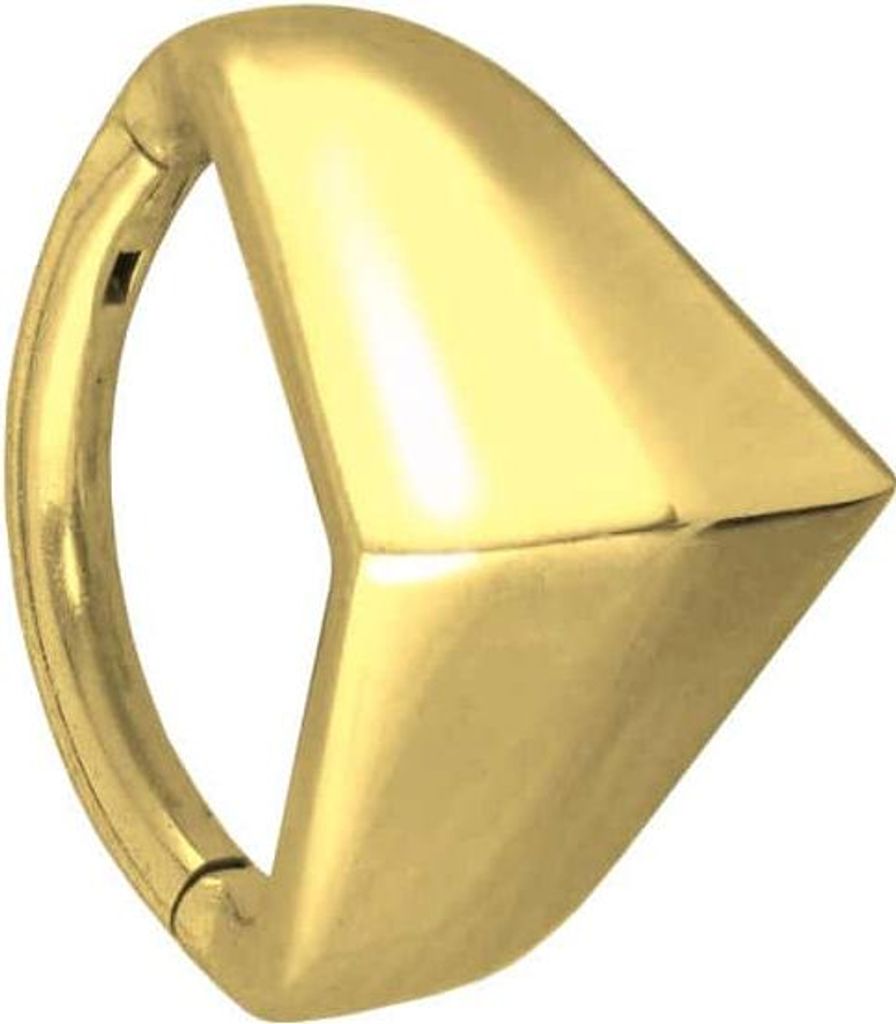 Ohrpiercing, Nasenpiercing, Septum Piercing Chirurgenstahl Segmentring Clicker SCHILD Gold Innendurchmesser: 8 mm