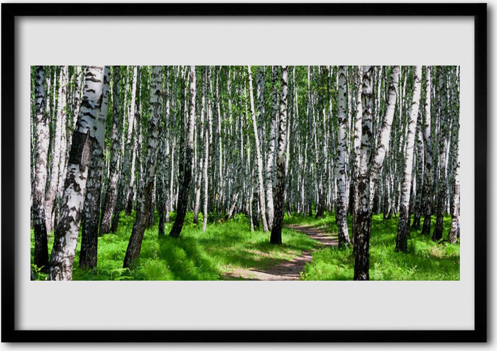 Bild 100x70 MDF-Rahmen Wandkunst Grass Bäume Natur