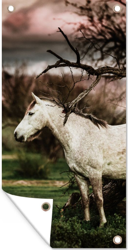 MuchoWow 30x60 cm Outdoor-Poster Gartendeko Sichtschutz Garten Poster für den Garten Weißes Morgan-Pferd neben einem Baum