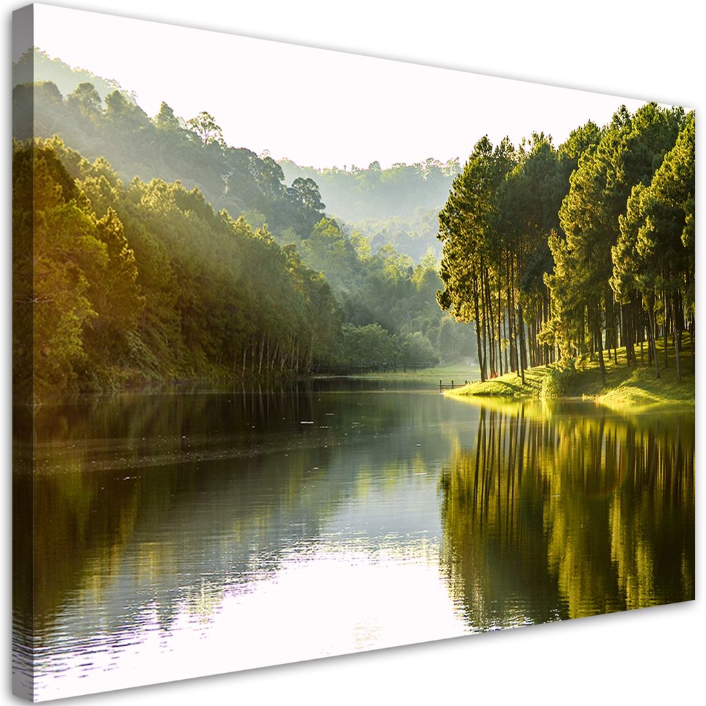 Leinwandbild Waldlandschaft, Bäume, Natur 120x80 Feeby Grün bild für die wand bereit zum aufhängen