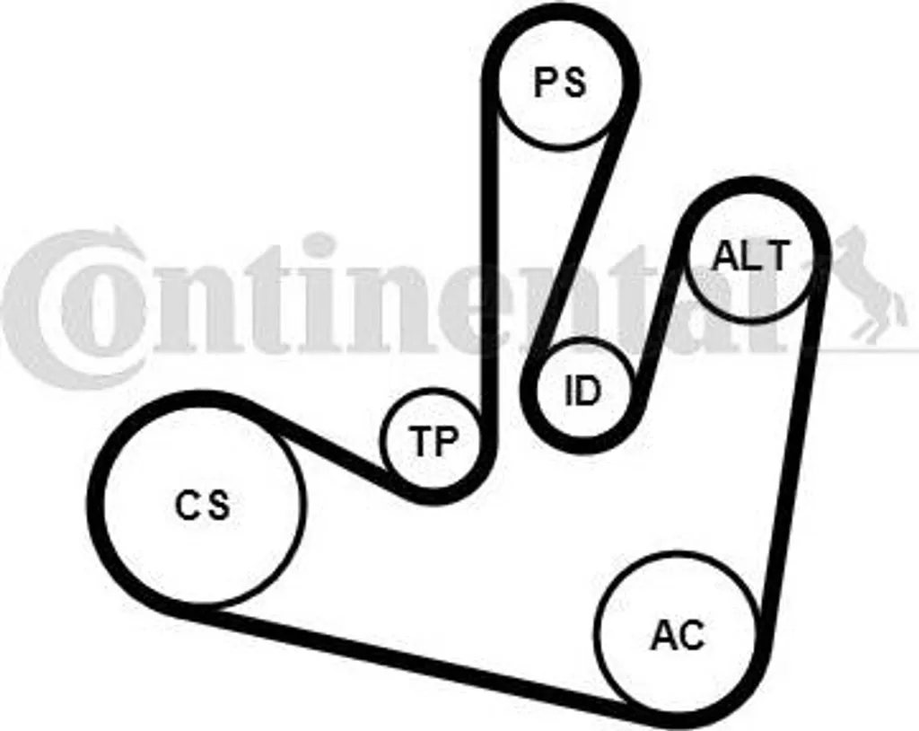 Kit courroie pour Scenic et Clio : Entretien moteur avec OE 7701477527