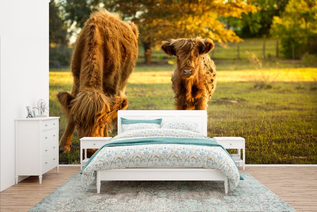 MuchoWow Fototapete für Wohnzimmer oder Schlafzimmer Wandtapete Vinyl Motivtapete Schottischer Highlander - Kalb - Herbst - 400x240 cm - Gemustert