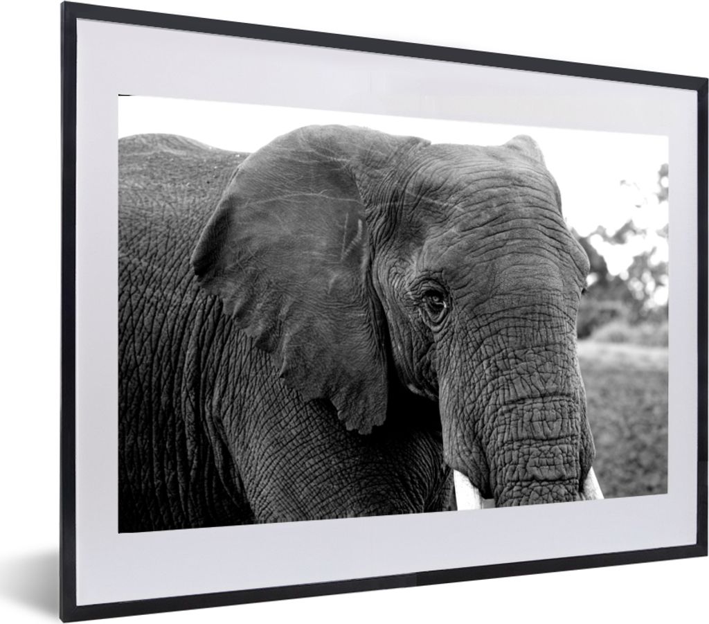 MuchoWow MuchoWow Gerahmtes Poster Elefant - Tiere - Schwarz - Weiß - Natur 60x40 cm - Poster mit zchwarzem Bilderrahmen - Schlafzimmer - Plak...