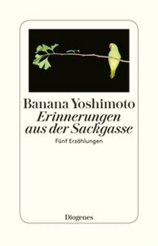Erinnerungen aus der Sackgasse avec récit introspectif et émouvant