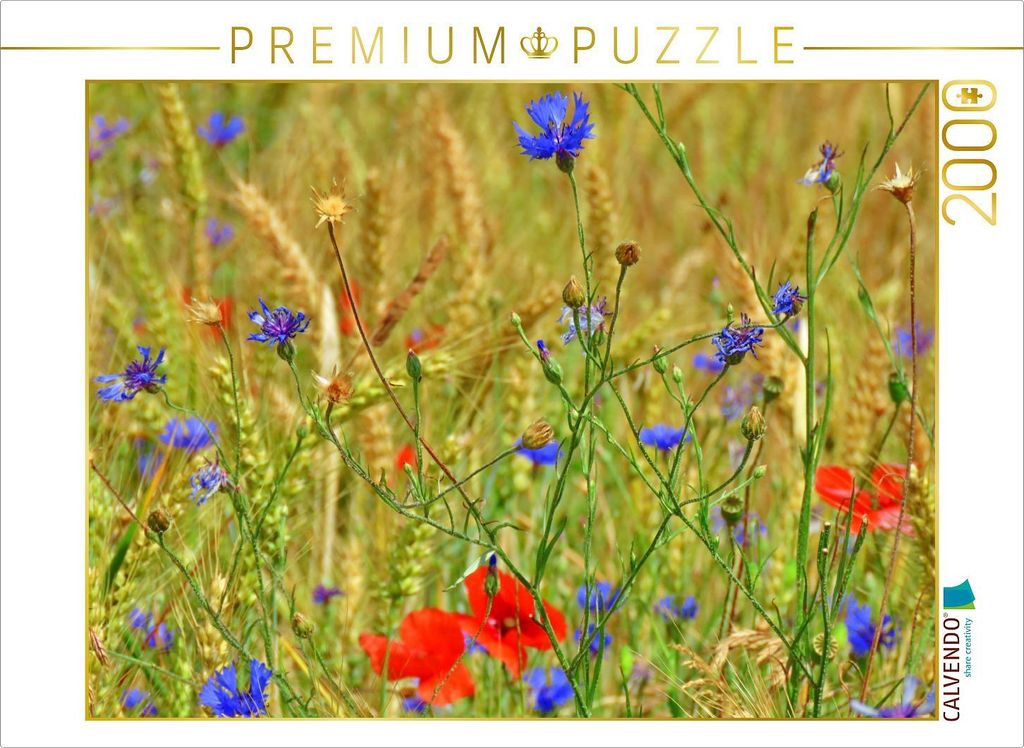 CALVENDO Puzzle Kornblumen und rote Mohntupfen 2000 Teile Puzzle quer | 2000 Teile Lege-Größe 90x67cm Foto-Puzzle für glückliche Stunden