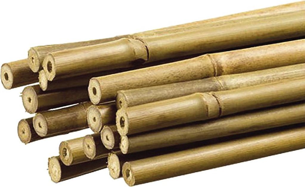 Tuteur Bambou Naturel Soutien Végétal Décoratif - Grow Image du produit 
