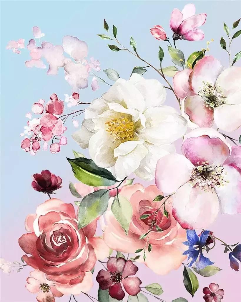 Malen nach Zahlen – 40 x 50 cm Blumen – Titanum