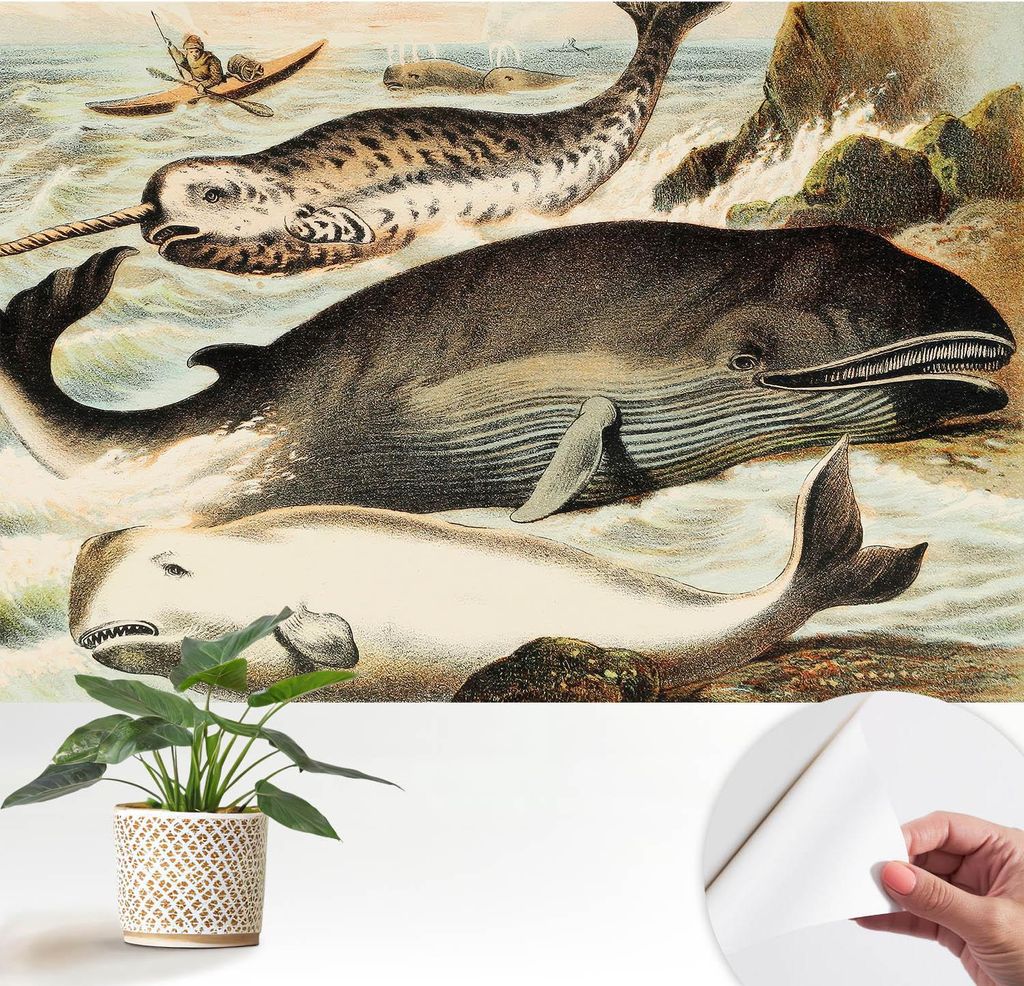 Fototapete selbstklebend - 152x104 cm - Tapete - Wandtapete - Wandbilder - Klebefolie - Dekofolie - Tapete Folie - Wand - Dekoration - Wohnzimmer -...