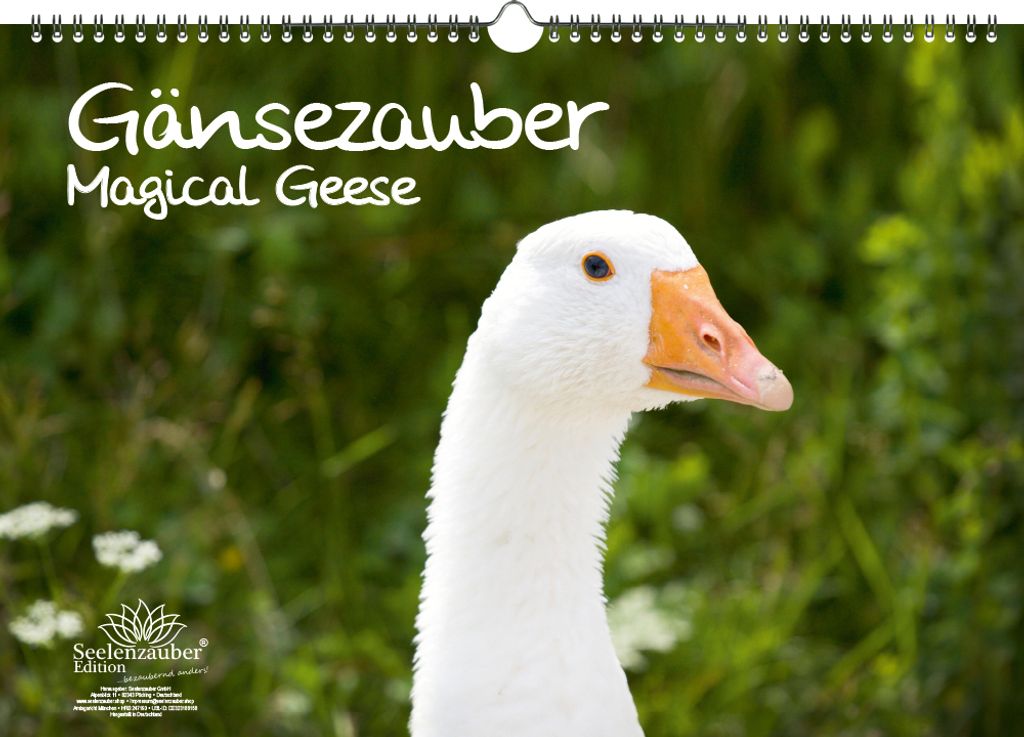 Gänsezauber DIN A3 Kalender - Immerwährender Kalender Gänse und Gänsebabys - Seelenzauber