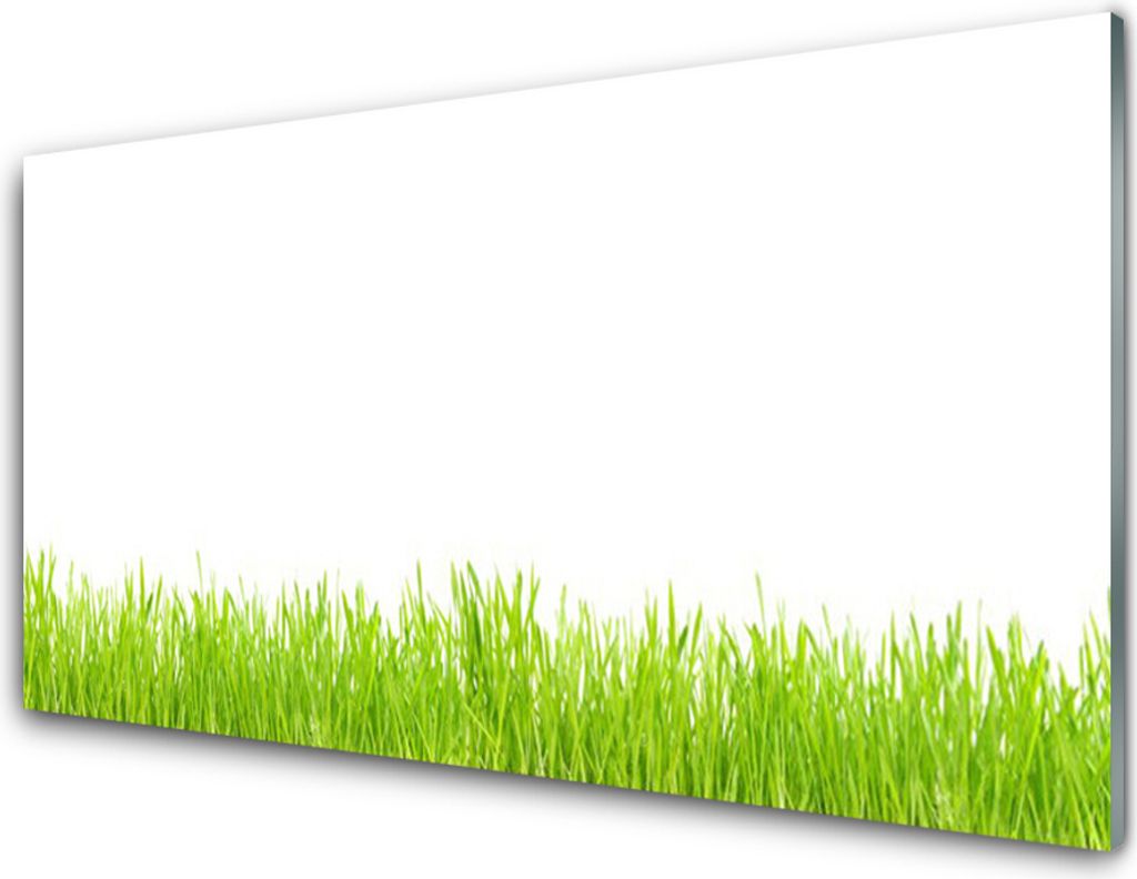 Acrylglasbilder 100x50 Wandbild Druck Gras Natur