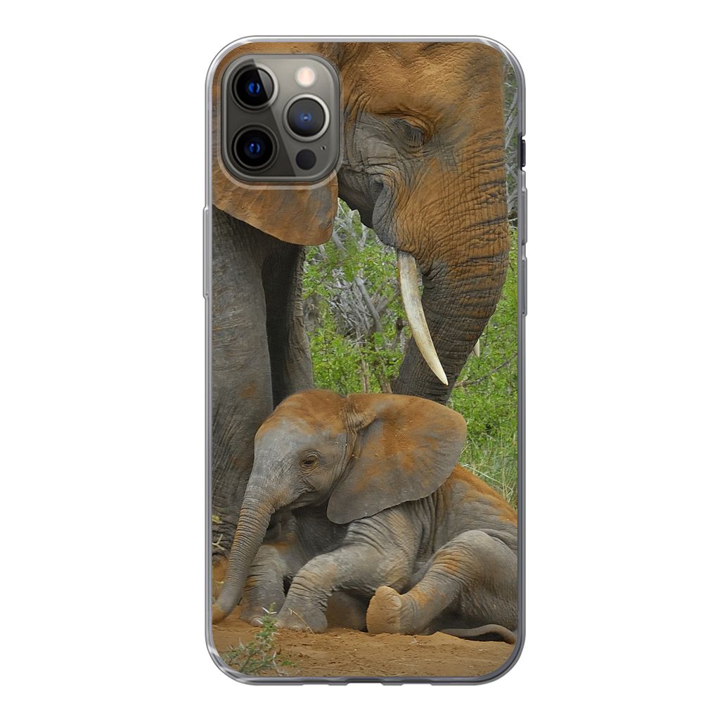 MuchoWow Handyhülle Schutzhülle Hülle für iPhone 12 Pro Max Elefant - Tiere - Sand - Natur Silikon Softcase Handy Hülle - Hartschale
