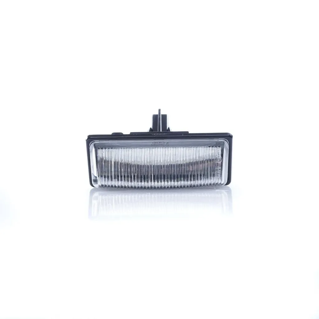 Module LED Plaque Immatriculation Nissan Pathfinder Murano 6000K 12V - 8