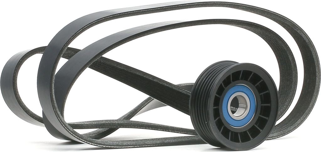 RIDEX 542R0217 - OE 2 110 252 Keilrippenriemensatz für C-Max, Focus II, C30 (533), S40 II (544), V50 (545)